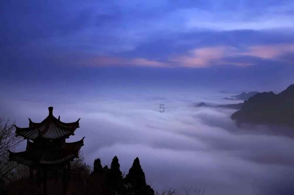 救援海盗章鱼